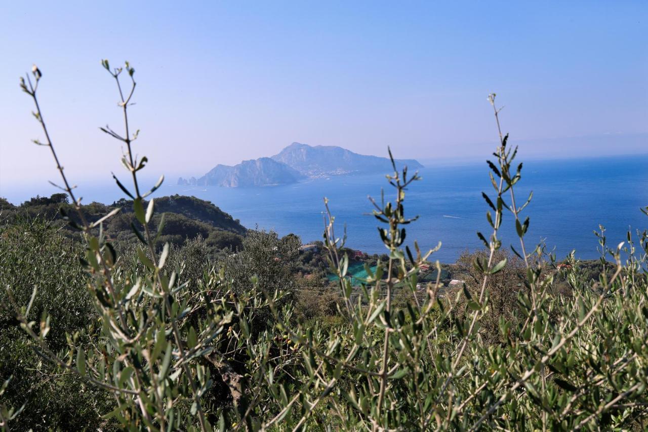 Villa Italia Sorrento Termini Esterno foto